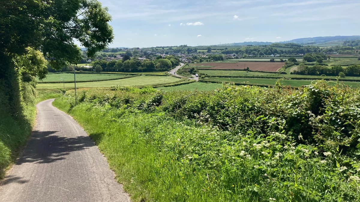 Long read on the future of Watchet and Williton wsfp.co.uk